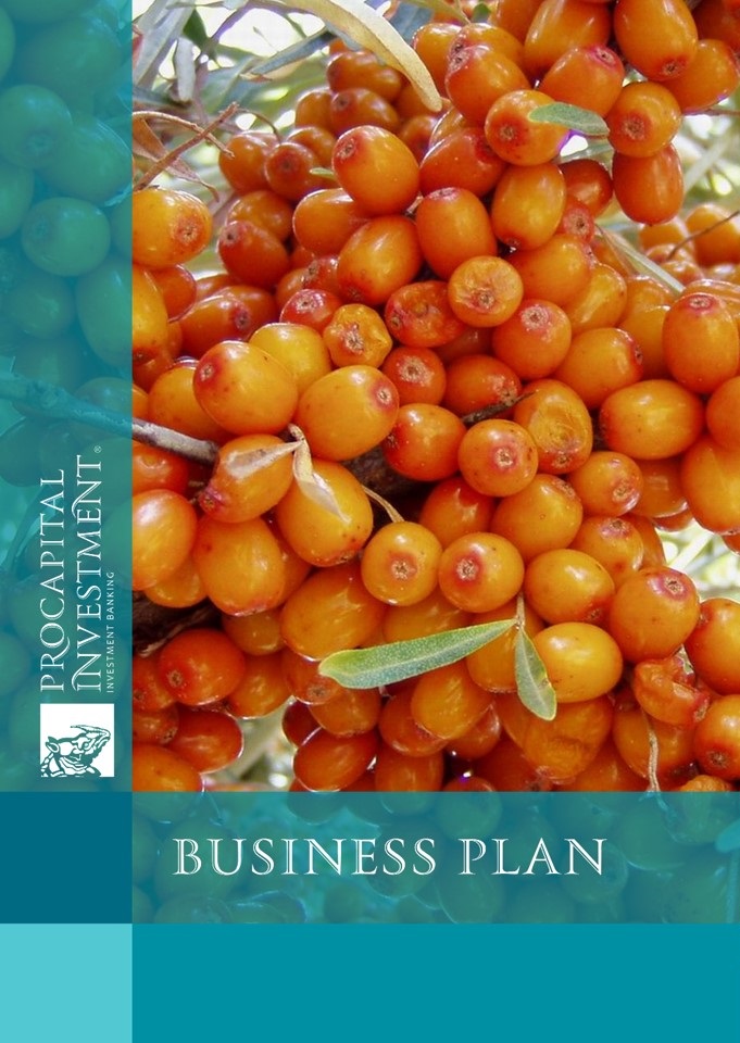 Business plan of the project for the cultivation of sea-buckthorn